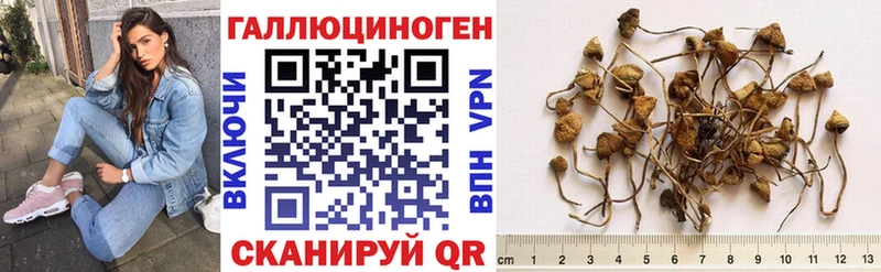 Галлюциногенные грибы прущие грибы  Снежинск 